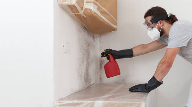 Professional Black Mold Remediation technician working in Pennsauken, NJ